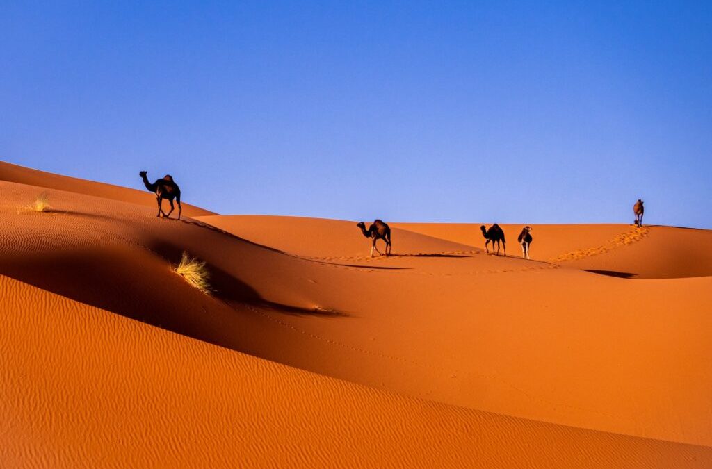 Retraite spirituelle dans le désert du Sahara