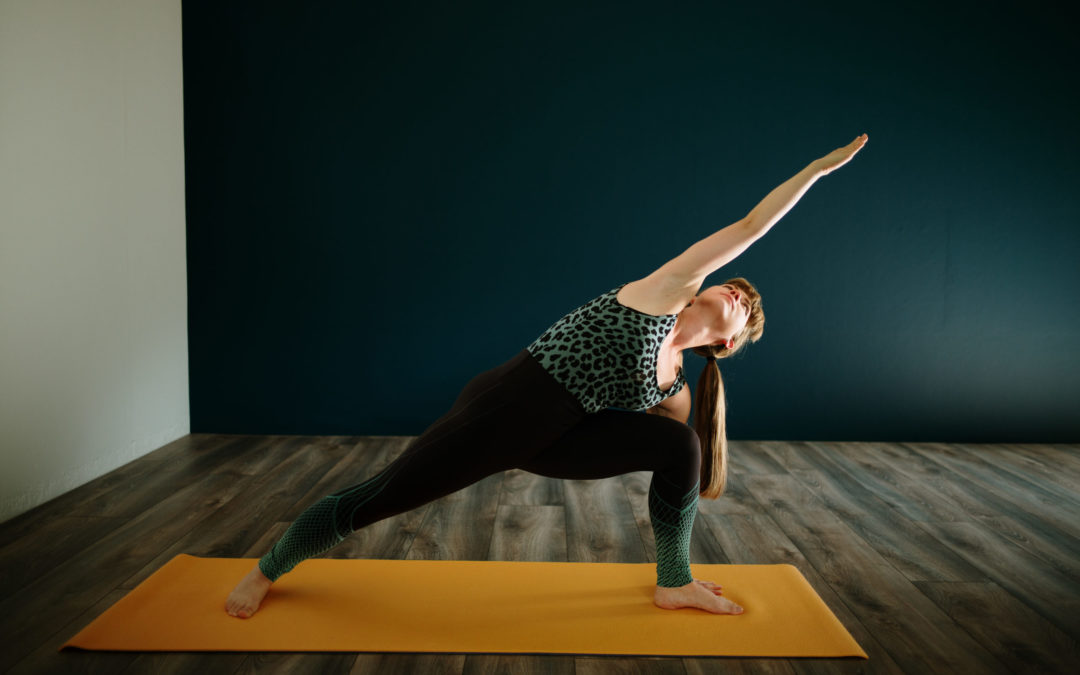 Le Yin Yoga et le Vinyasa Yoga : Deux Chemins vers l’Équilibre et le Bien-Être