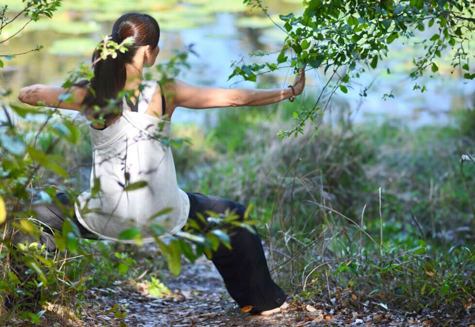 Nouveaux cours “Réveil Corporel Mobility” & “Qi Gong”